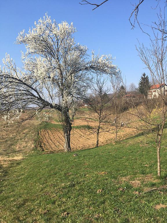 House Vranic Hotel Rakovica Exterior photo